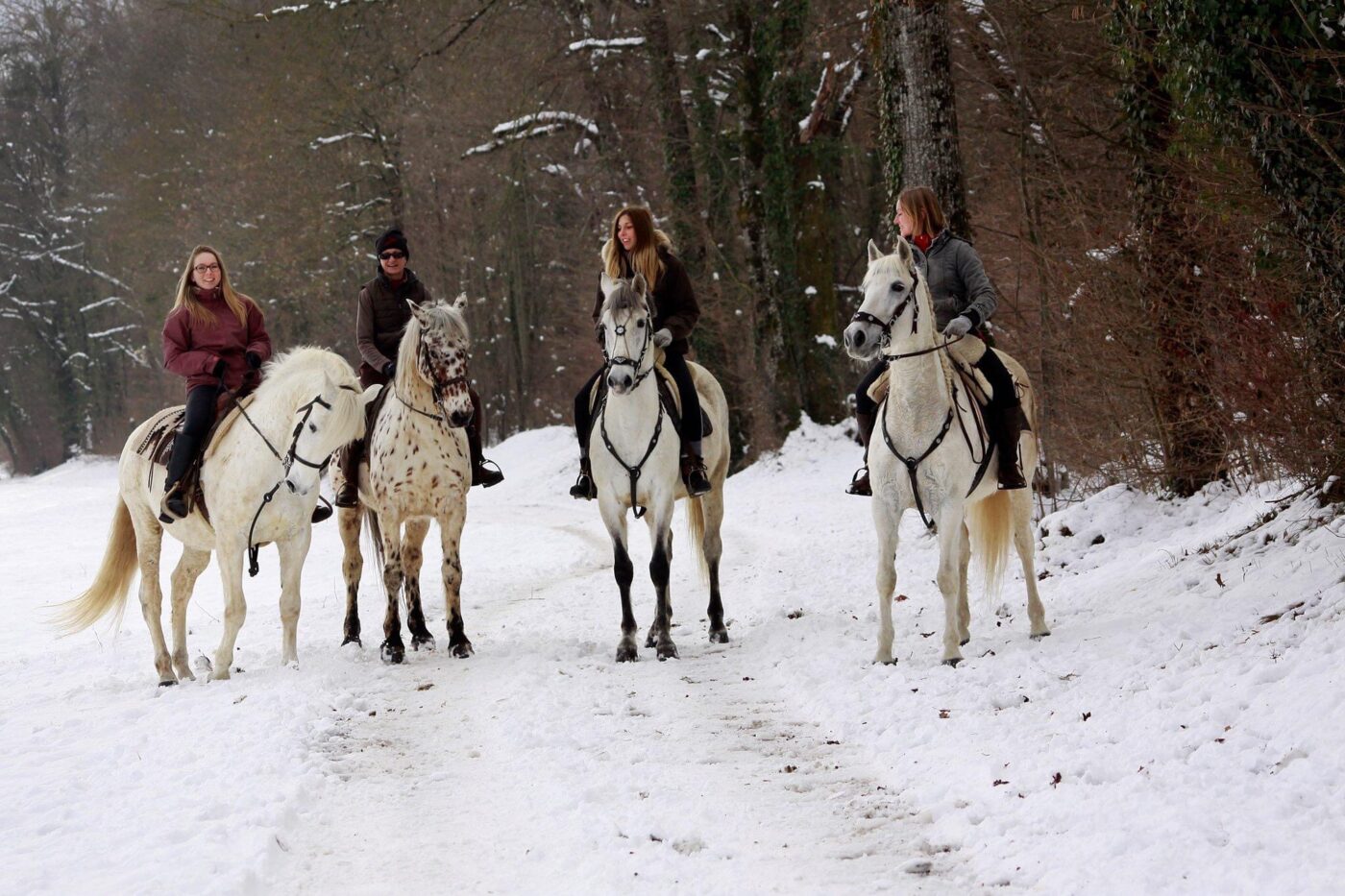 Balade à cheval avec les Ecuries de Chevaline.