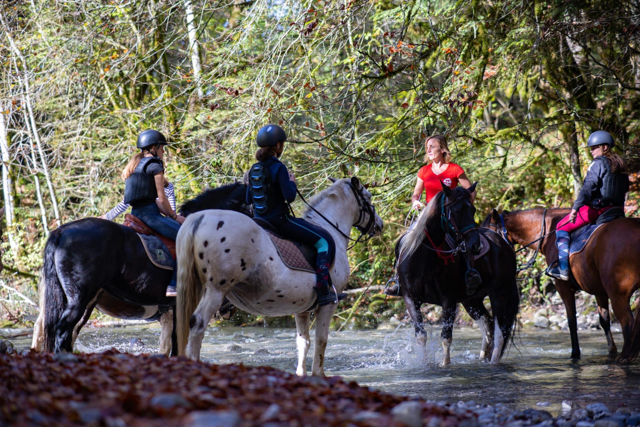 Equitation proche d'Albertville et d'Annecy