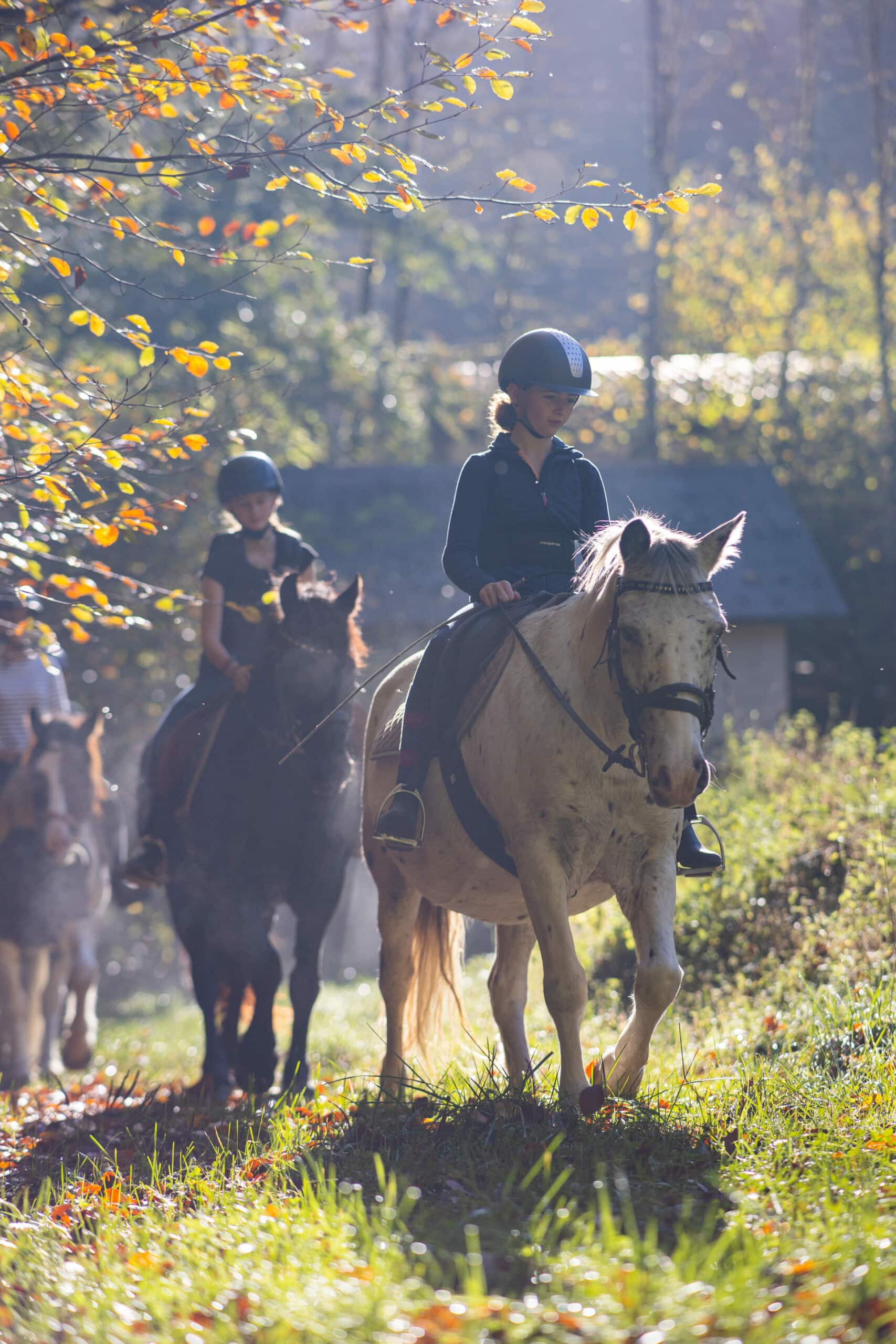 Balade à cheval et à poney proche d'Annecy