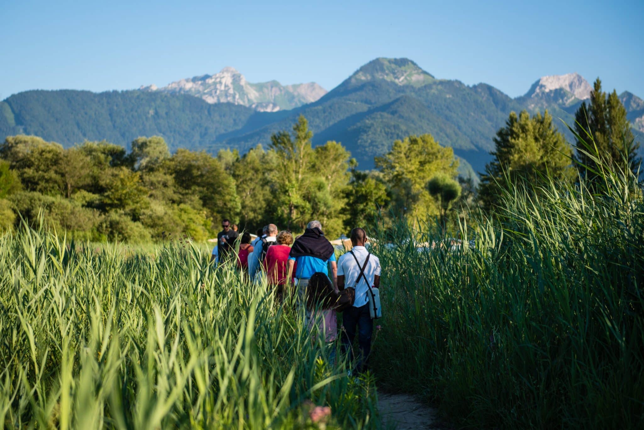 guide et groupe Réserve naturelle du bout du lac d'Annecy