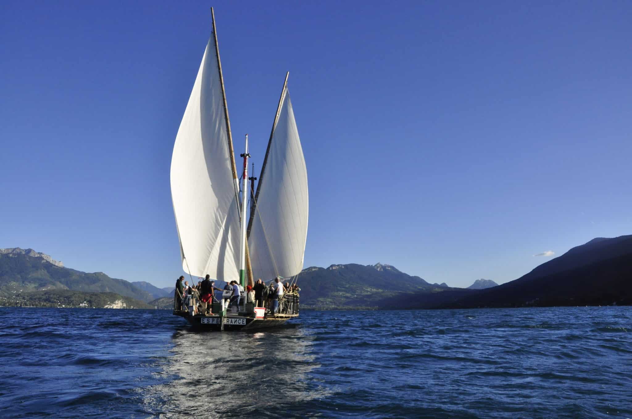 Espérance III aux Sources du lac d'Annecy, Asters